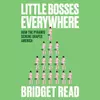 Little Bosses Everywhere: How the Pyramid Scheme Shaped America