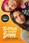 Turtles All the Way Down