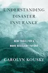 Understanding Disaster Insurance