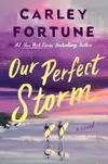 Our Perfect Storm