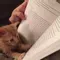Slowreader14
