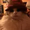 RatbagTheCat