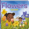Flowers Bloom